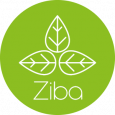 ZIBALOGO300x300